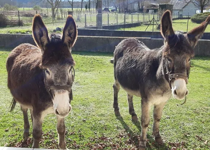 Rez De Jardin Au Coeur Des Pyrenees Agos-Vidalos