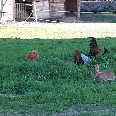 Rez De Jardin Au Coeur Des Pyrenees Appartement *