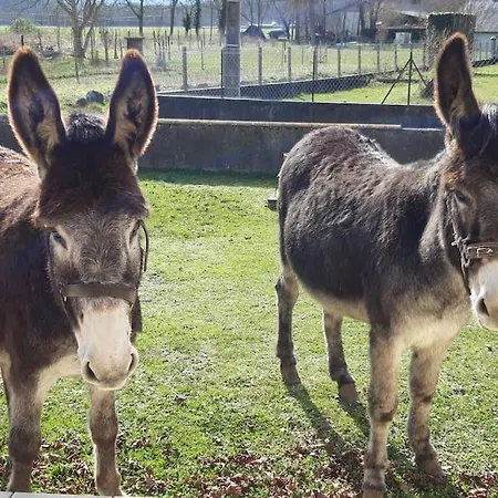 Rez De Jardin Au Coeur Des Pyrenees Agos-Vidalos