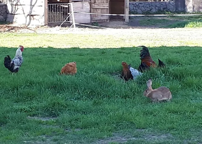 Rez De Jardin Au Coeur Des Pyrenees דירה *