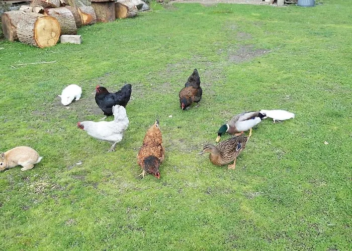 Rez De Jardin Au Coeur Des Pyrenees Appartement *